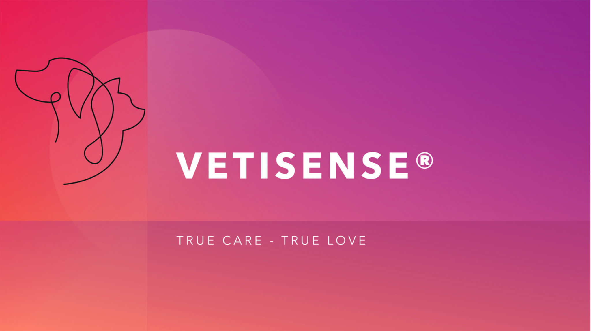 Vetisense Placeholder